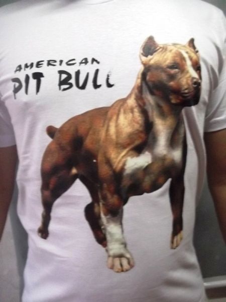 AMERICAN PIT BULL COD.789