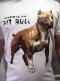AMERICAN PIT BULL COD.789